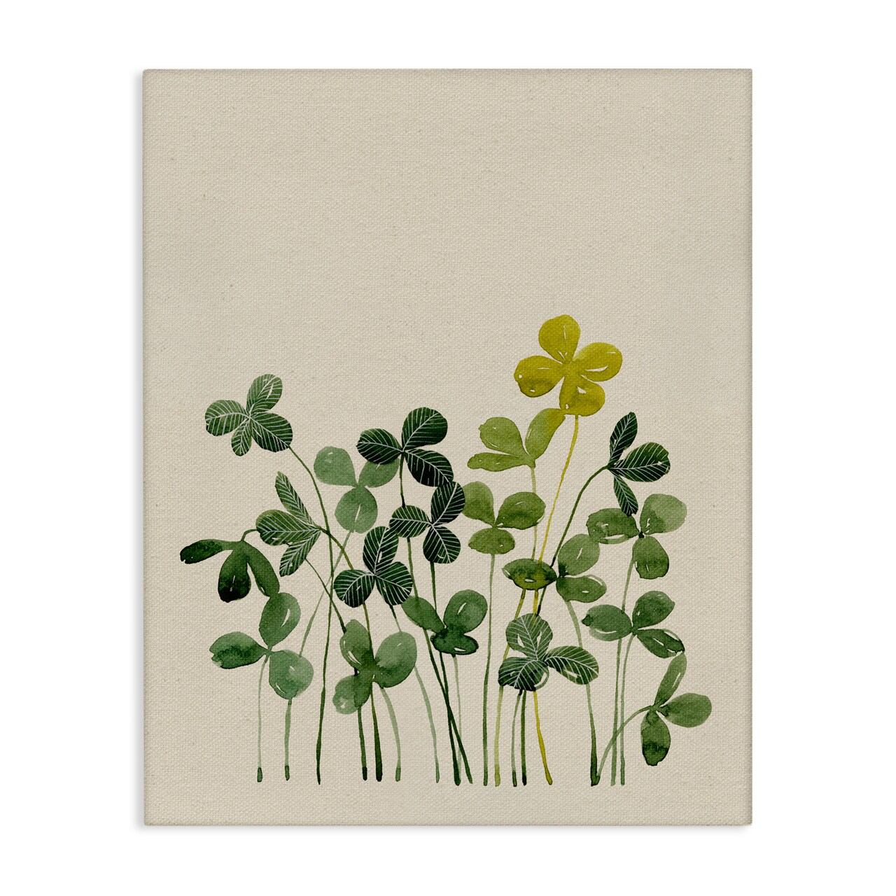 Stupell Industries Hidden Gems Botanicals Canvas, design by Grace Popp